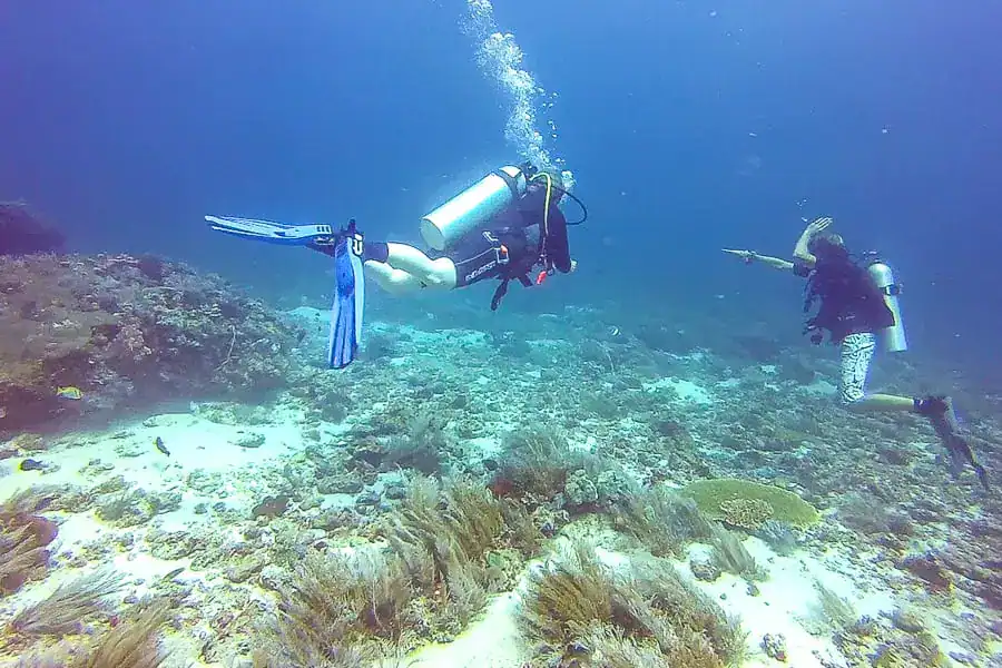 A divemaster making the shark sign while diving across coral in good visibility at the Cauldron during our Komodo dive trip.