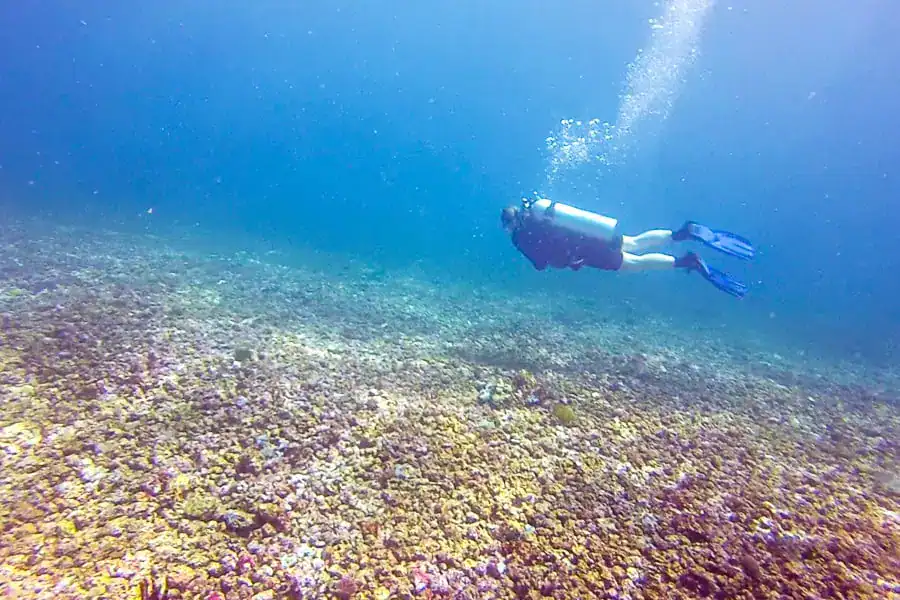 A diver drifts across a rubbly coral floor at Manta Point while searching for Komodo manta rays.