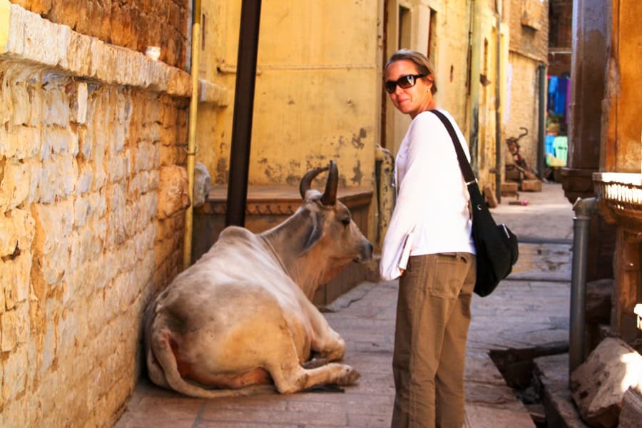 Couple travel tips: A person stands near a cow with large horns lying down.