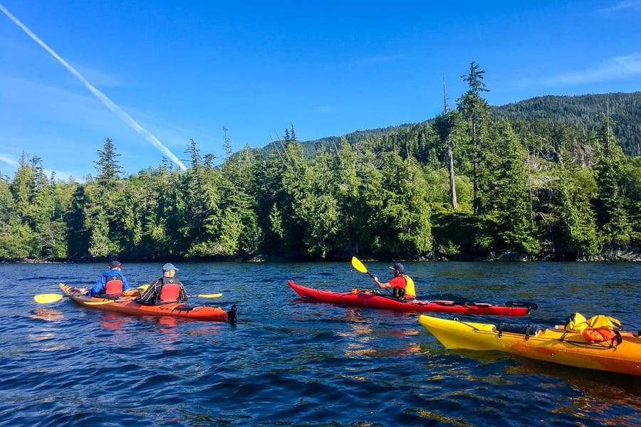 A group of paddlers head past a forested shore on a kayak trip from Telegraph Cove, one of our Vancouver Island highlights.